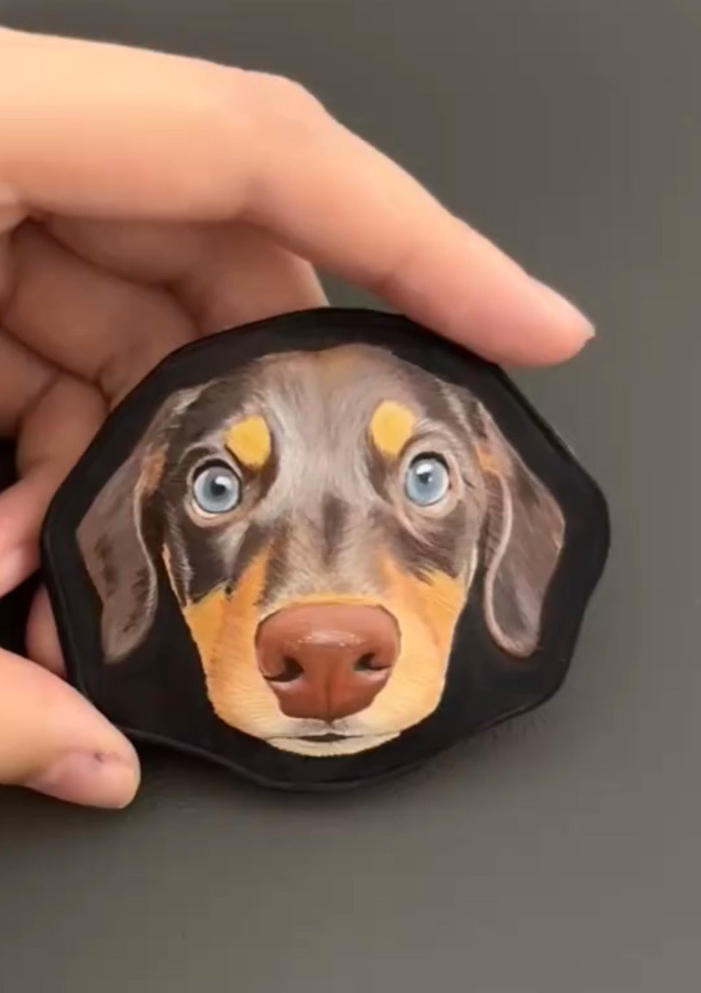 shape-following border（A pet）